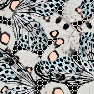 Cuadro piel mariposa