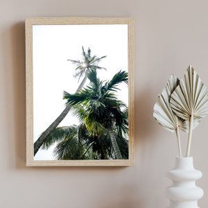 Cuadro Palmeras Cielo