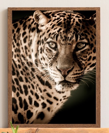 Cuadro Leopardo