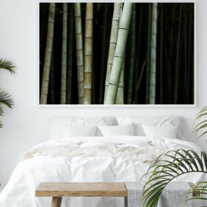Cuadro Bambú