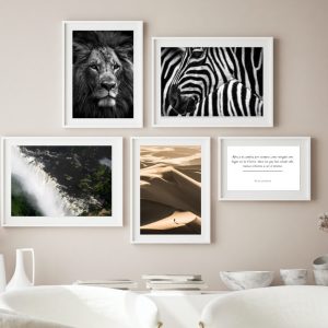 Composición África Elegante