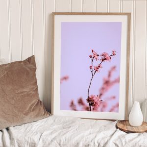 Cuadro cerezo Japón