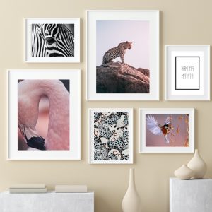 Composición África Rosada