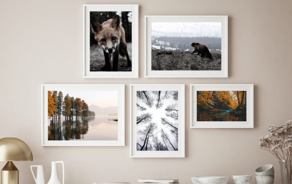 Composición Bosque Canadá