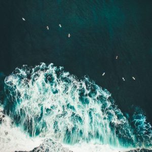 Cuadro olas surferos Australia